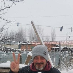 ������, ���������, 55 ���