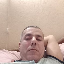 ������, �����-���������, 47 ���