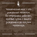 ���� ��������, �������, 90 ��� - ��������� 4 ������� 2023 � ������ ������ ��������