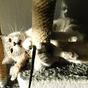  Helena, , 60  -  21  2025    