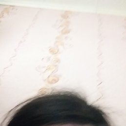 , 19, 
