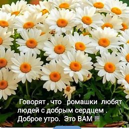 �������, ����, 70 ���