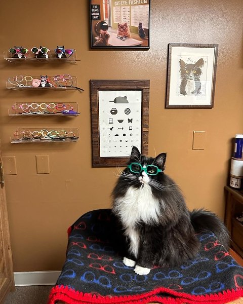  .               . ... - 4