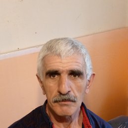 , 61, 