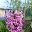 ���� �������, ������, 47 ��� - ��������� 15 ������ 2025 � ������ ������� �������