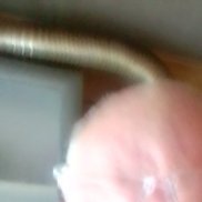 , 56 , 