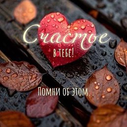 ���� N M, ������ - ��������� 4 ������� 2025