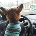 ���� ������, ����, 65 ��� - ��������� 19 ������ 2025 � ������ ������ ��������