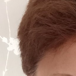 ����, ���������, 56 ���