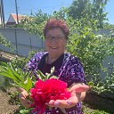 ���� ����, ��������� - ��������� 28 ������ 2024 � ������ ���� ����������