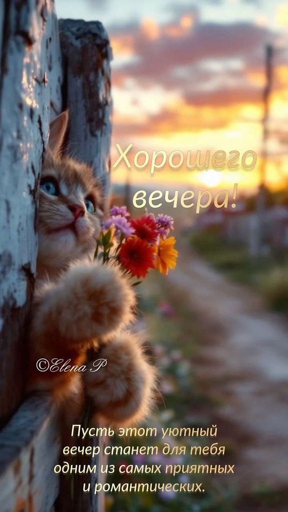   ,    . - 8  2025  20:45