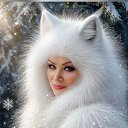 ���� ����, �����������, 56 ��� - ��������� 30 ������� 2025 � ������ ���� ����������