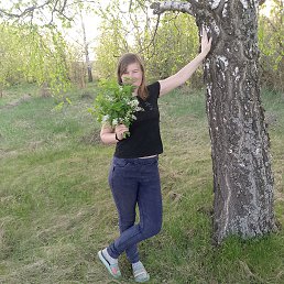 �������, 27 ���, ������