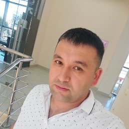 ���� �����, �������, 36 ��� - ��������� 3 ���� 2026