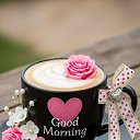 ���� Randar, ������� - ��������� 27 ��� 2026 � ������ ������ ��������