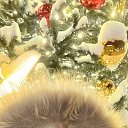 ���� �������, ������, 35 ��� - ��������� 9 ���� 2026 � ������ ���� ����������