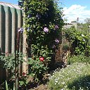 ���� ���������, ���������� - ��������� 14 ��� 2025 � ������ ���� ������