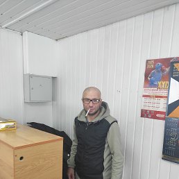 ��������, 38 ���, ��������