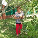 ���� �������, ����, 67 ��� - ��������� 29 ������ 2024 � ������ ���� ����������