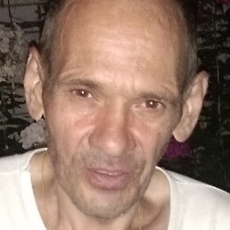 ���������, ���������, 56 ���