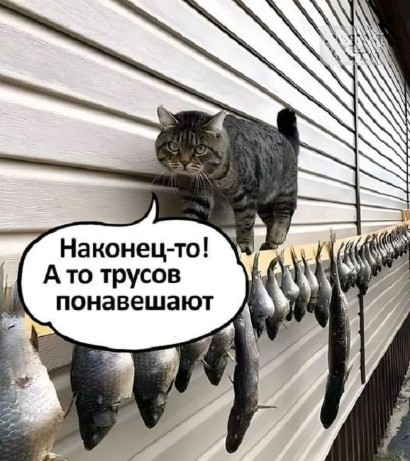       - 21  2025  13:36