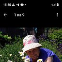 ���� ������, ������, 63 ���� - ��������� 16 ������� 2024 � ������ ���� ����������