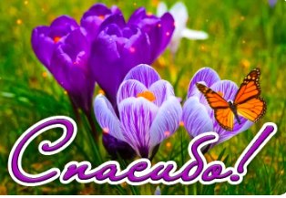 � ���� �����... � ��� ��� ������� � ������... ���� ������� �� ������������!