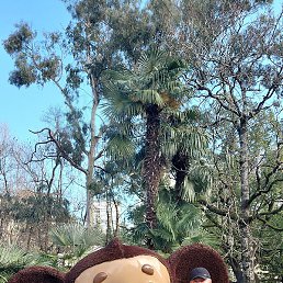 ���������, ���������, 57 ���