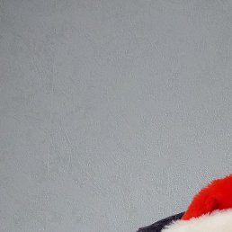 �����, ������, 43 ����