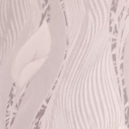 �������, �����������, 36 ���