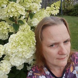 , 45, 