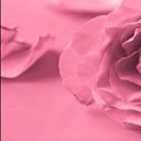 ���� ������, ����� - ��������� 1 ���� 2025 � ������ ������ ��������