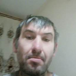 ����, �����-���������, 47 ���