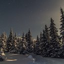  Art, , 44  -  21  2024    