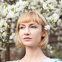 ���� ����, �����, 37 ��� - ��������� 4 ������ 2023 � ������ ���� ����������