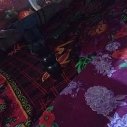 ���� Bobur, ���������, 42 ���� - ��������� 31 ������ 2025