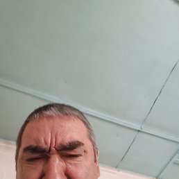 , 56, 