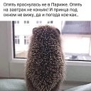 ���� �����, �����������, 53 ���� - ��������� 11 �������� 2024 � ������ ���� ����������