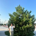 ���� �������, ������, 50 ��� - ��������� 21 ���� 2025 � ������ ���� ����������