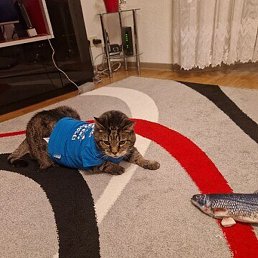 Marina, ������, 52 ����