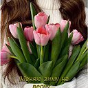 ���� �����, ��������� - ��������� 24 ������� 2026 � ������ ������ ��������