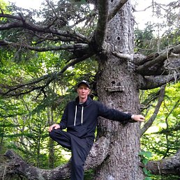 �������, �������, 48 ���