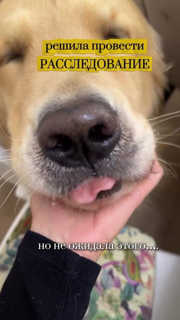 �� �������, ��� �� ���������� ��� ������!) - 2