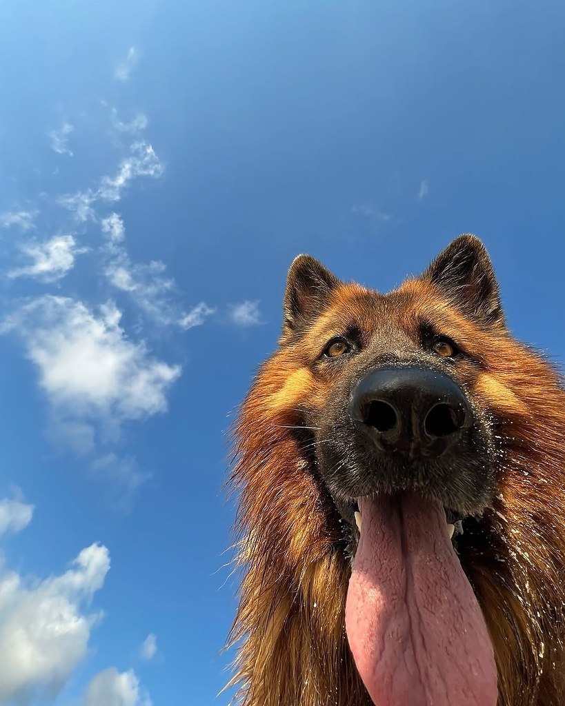 ��� ��� ������� ���� �� ����� - 3