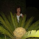 ���� �������, ��������, 64 ���� - ��������� 15 ���� 2024 � ������ ���� ����������