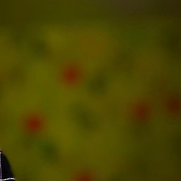 ���, ������, 65 ���