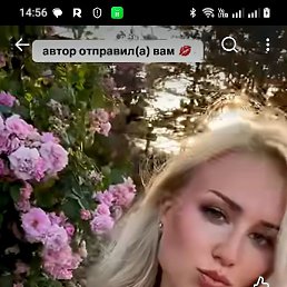 ����, ������, 58 ���