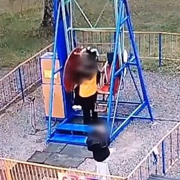 �����������