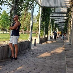 , 37, 