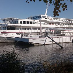 �����, ������, 43 ����